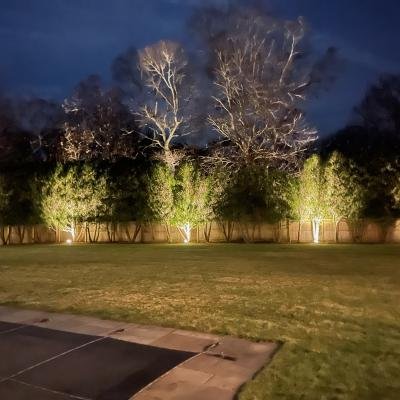 Landscaping Lighting
